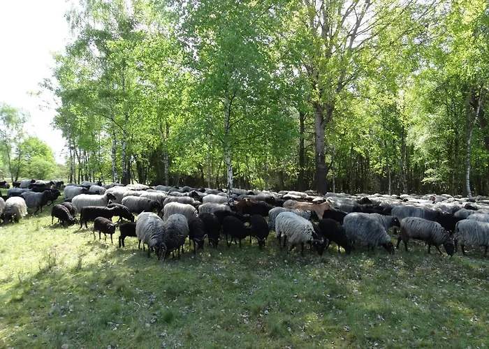 Eichengarten Feriehus *